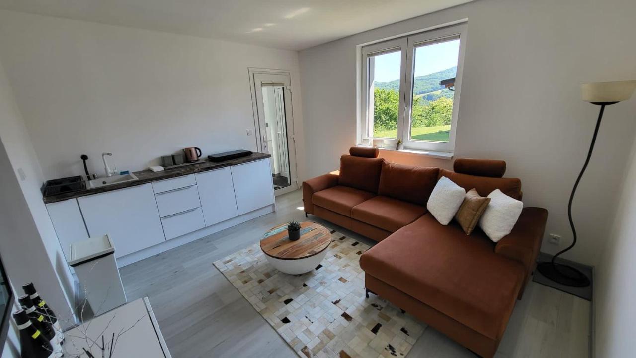 Apartman S Bazenem A Saunou Kadan Exterior photo